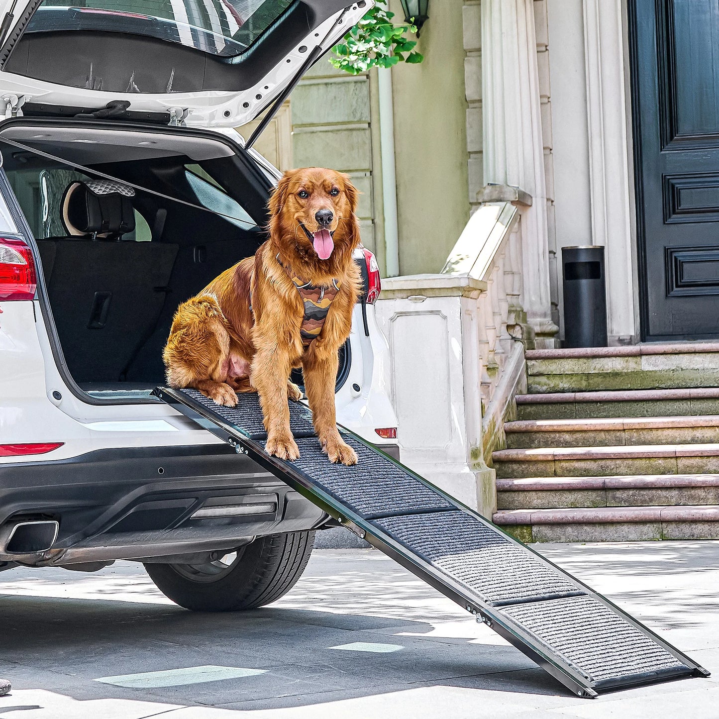 Dog Ramp for Car, 63" Folding Pet Ramp for Large Dogs up to 200 lb, 17" Wide Car Ramp for Dog, Portable Pet Stair Ramp with Nons