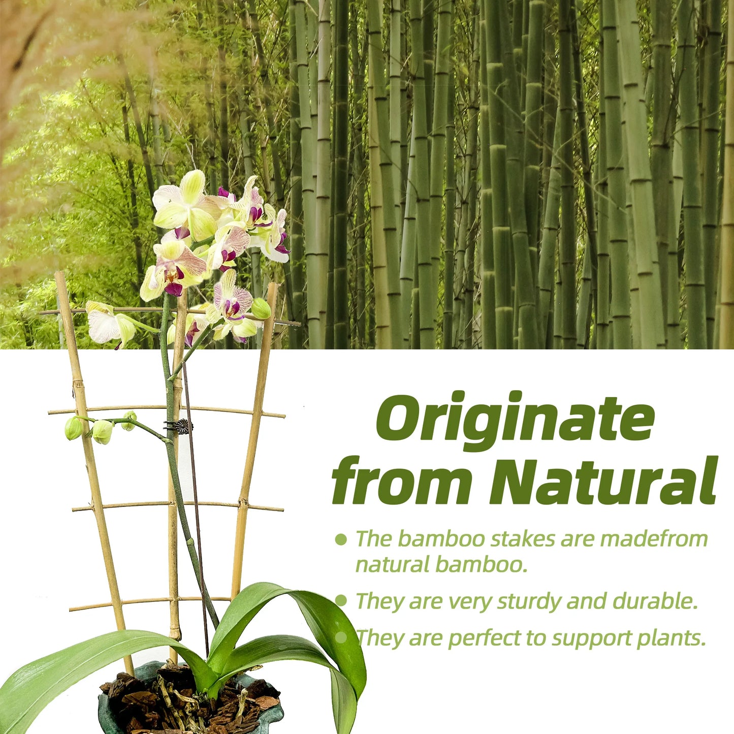 10 Pack Bamboo Trellis for Climbing Plants 16 Inch Natural Garden Fan Shaped Plant Support Bracket Suitable for Potted Plants