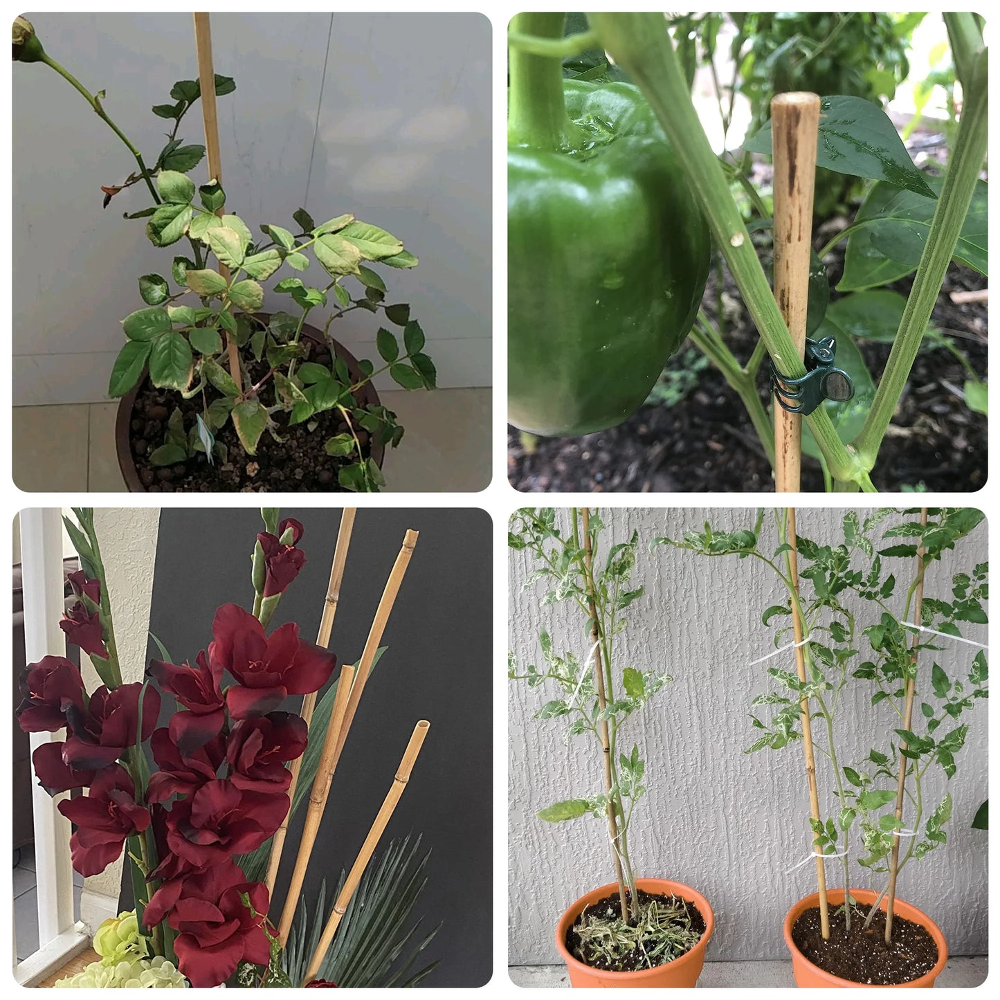 30pcs 7ft Bamboo Plant Stakes for Indoor Outdoor Plants,Garden Support Trellis for Climbing Plants