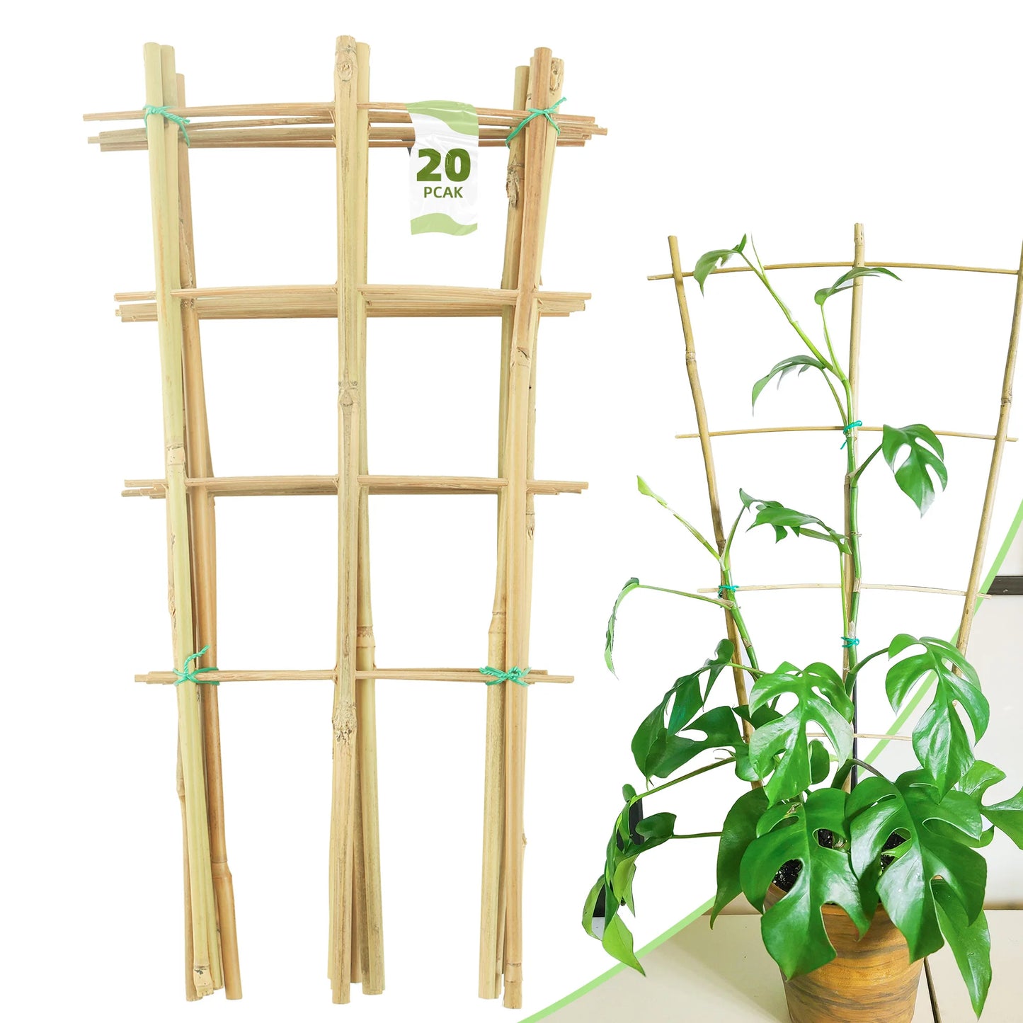 10 Pack Bamboo Trellis for Climbing Plants 16 Inch Natural Garden Fan Shaped Plant Support Bracket Suitable for Potted Plants