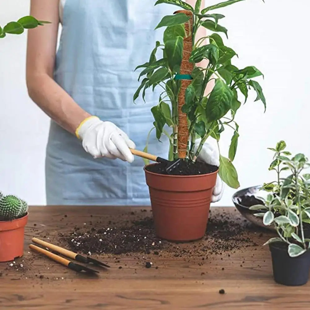 4Pcs Moss Pole Plant Supports For Climbing Plants 19.6 Inch