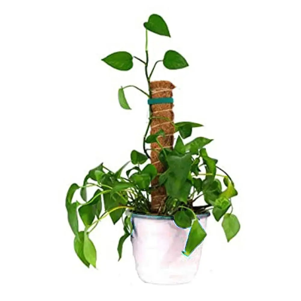 4Pcs Moss Pole Plant Supports For Climbing Plants 19.6 Inch