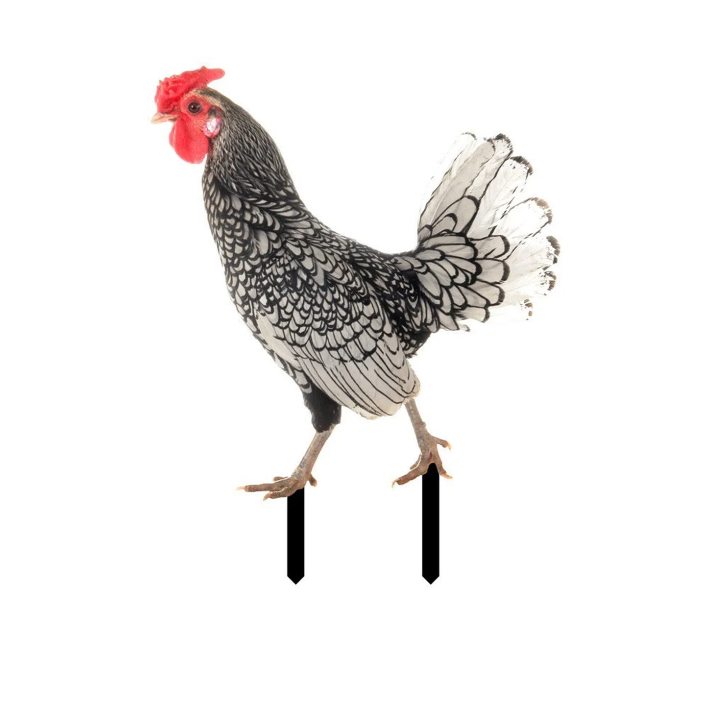 Realistic Chicken Statues Acrylic Rooster Animals Stakes Animals Sculptures Decor Chicken Ornaments Yard Art Decor For Backyard