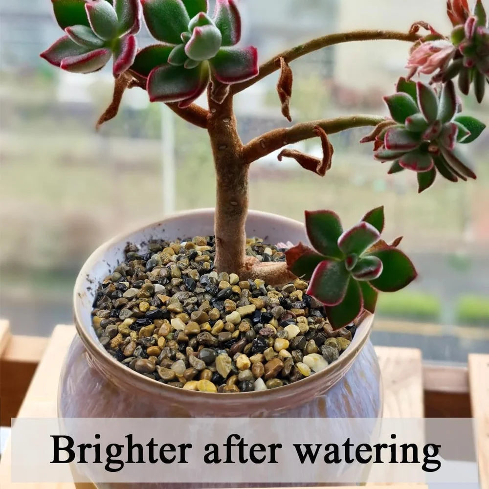 Five Pounds Aquarium Gravel Pea Gravel Decorative Rocks
