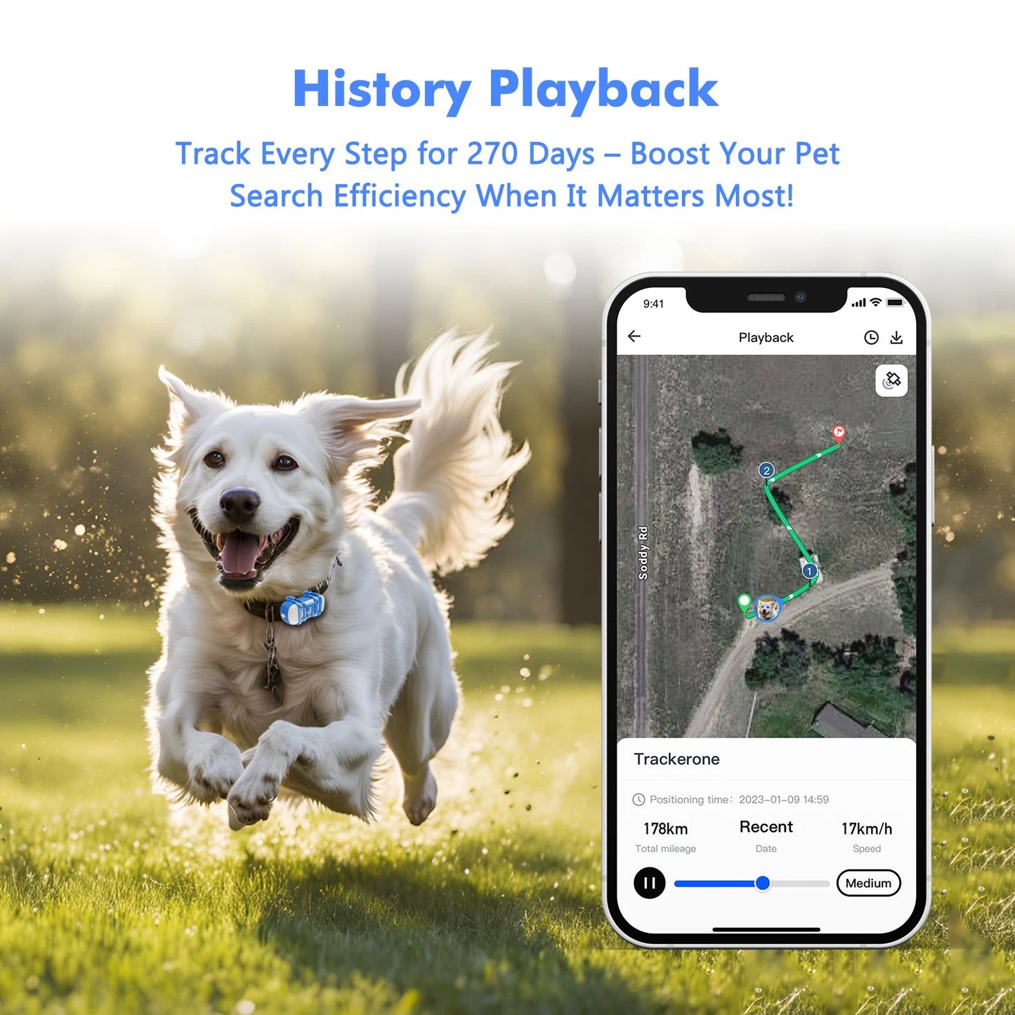 4G Dog Cat GPS Tracker for Pets Waterproof Locator with App Live Tracking Light Sound Search Free Trial