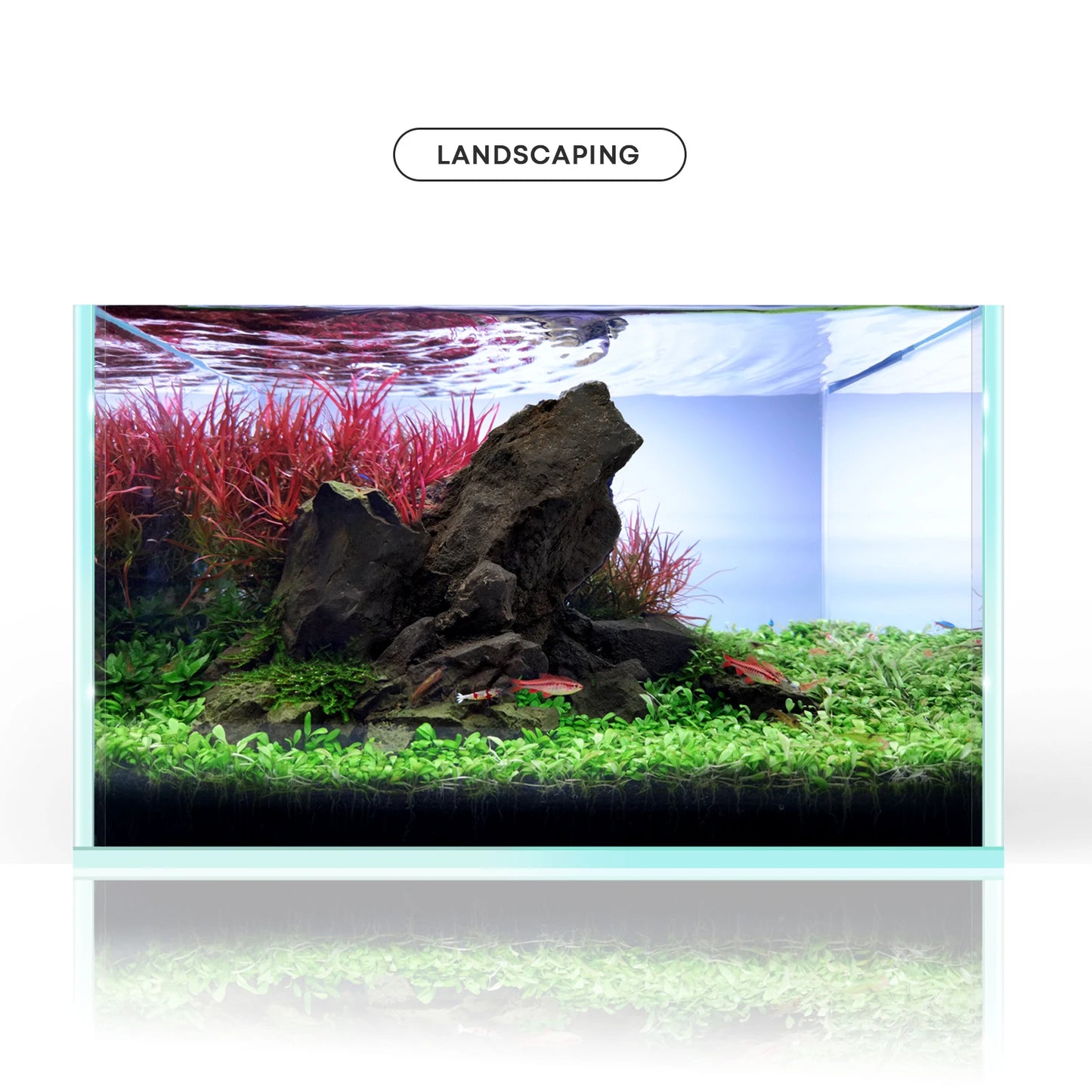 FZONE Resin Manten Stone And Driftwood Aquarium Hardscape