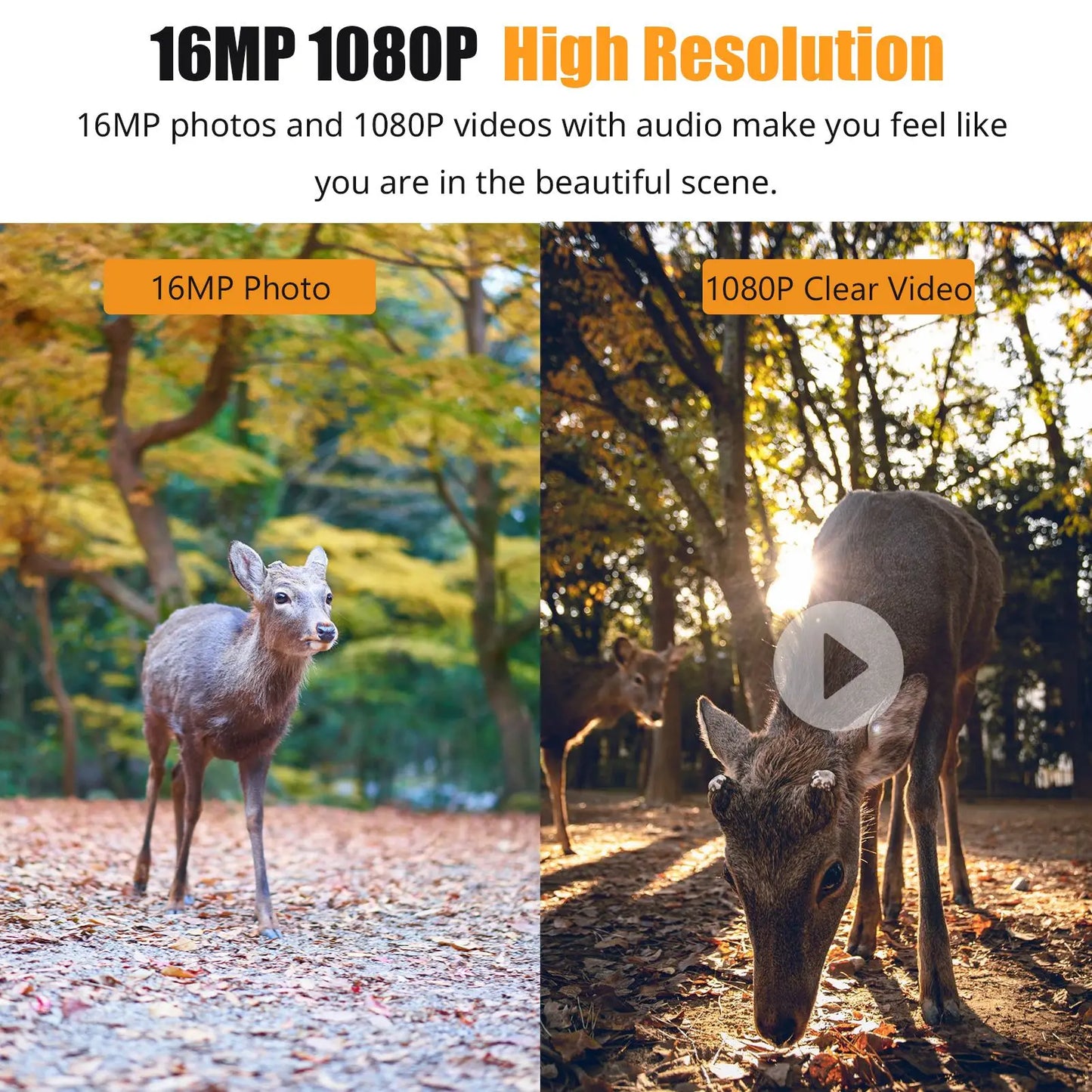 1080P Wireless Trail Camera Hunting Cameras Infrared Night Vision Mobile Monitoring IP66 Waterproof Trail Camera Trigger