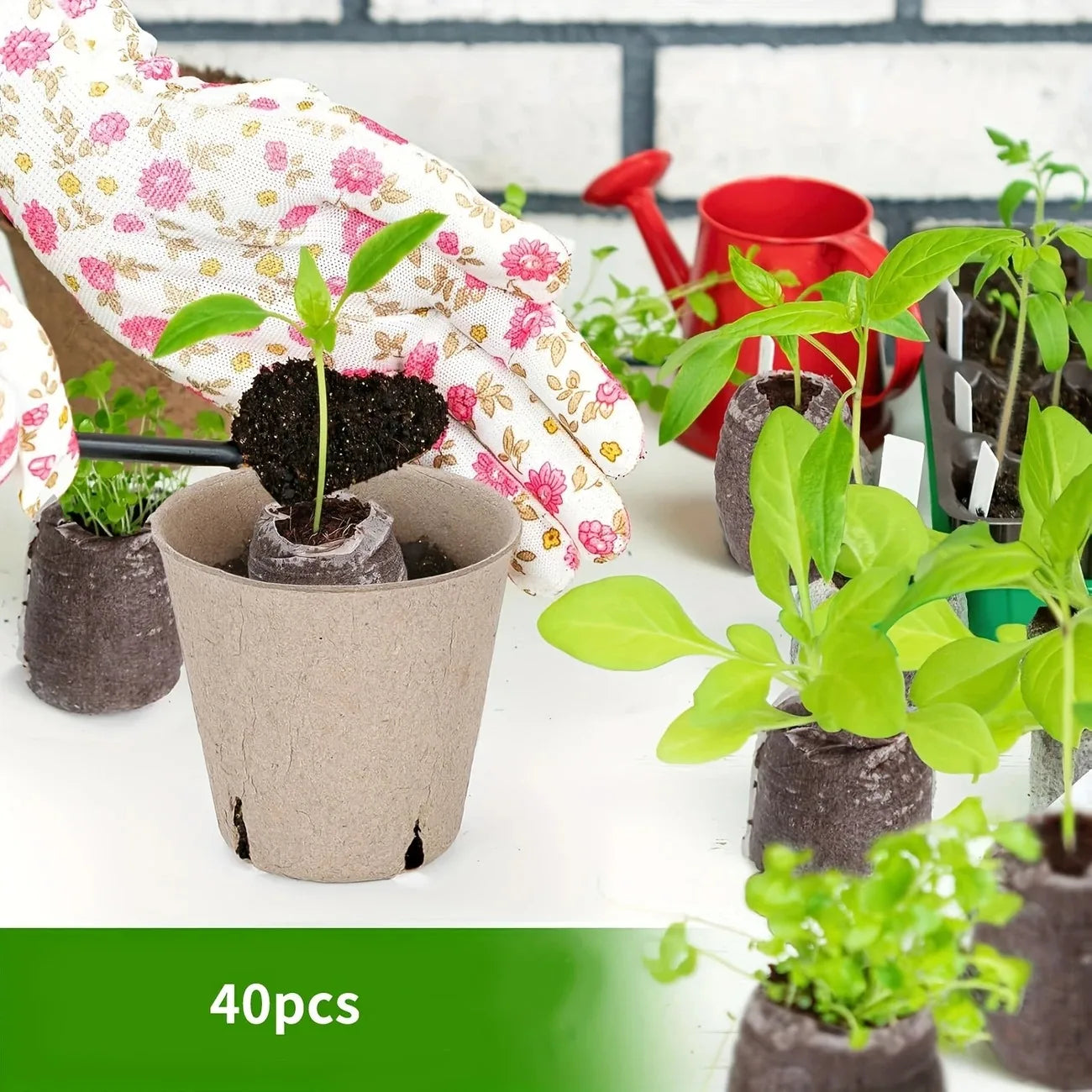 40 Pack Coir Seed Starter Pods 30mm For Seedlings Bonsai