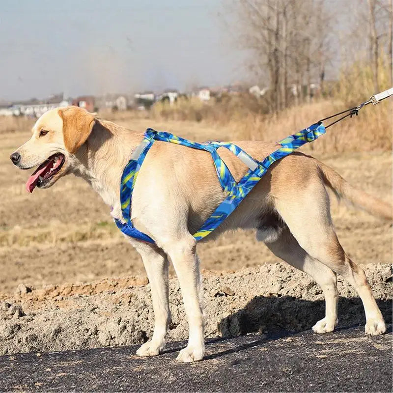 Pulling Harness For Dogs Puppy Harness Adjustable Reflective Dog Harness Outdoor Dog Rope Flexible Dog Training Rope For