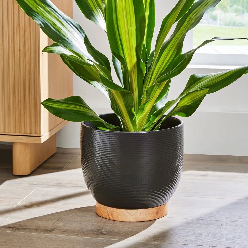 10 Inch Black Ceramic Planter With Wood Base Drainage