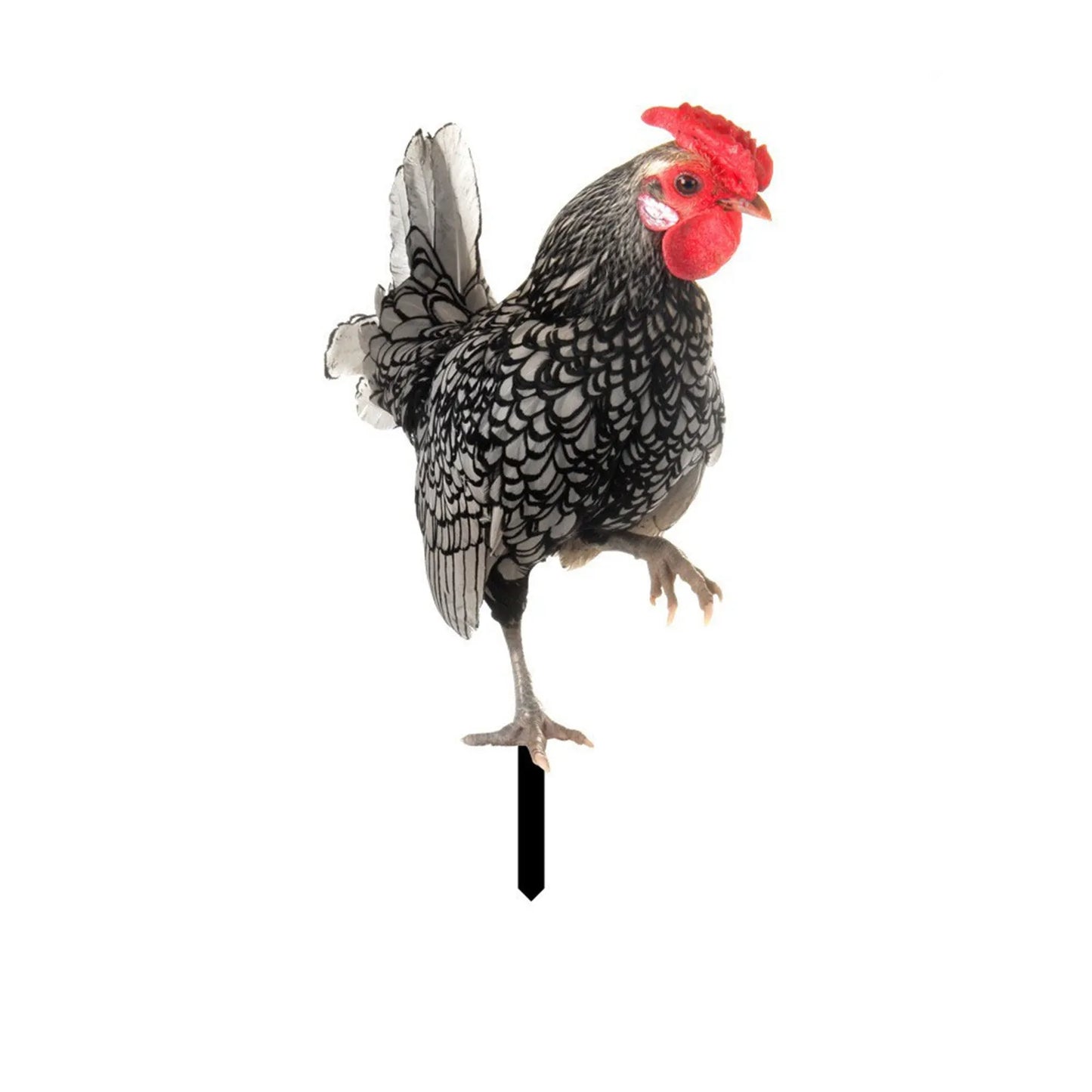 Realistic Chicken Statues Acrylic Rooster Animals Stakes Animals Sculptures Decor Chicken Ornaments Yard Art Decor For Backyard