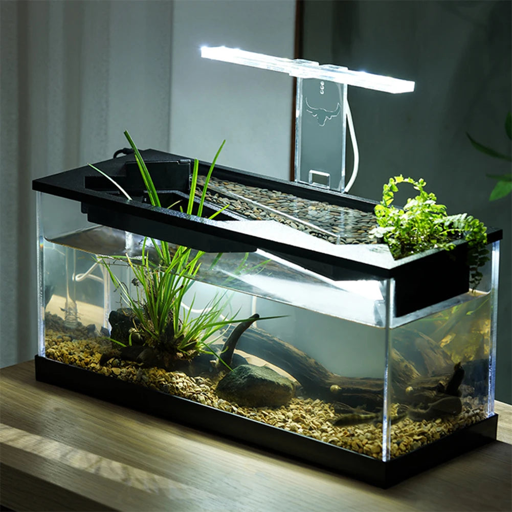 Desktop Acrylic Fish Tank High Transparency Rectangular