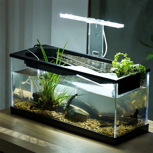 Desktop Acrylic Fish Tank High Transparency Rectangular