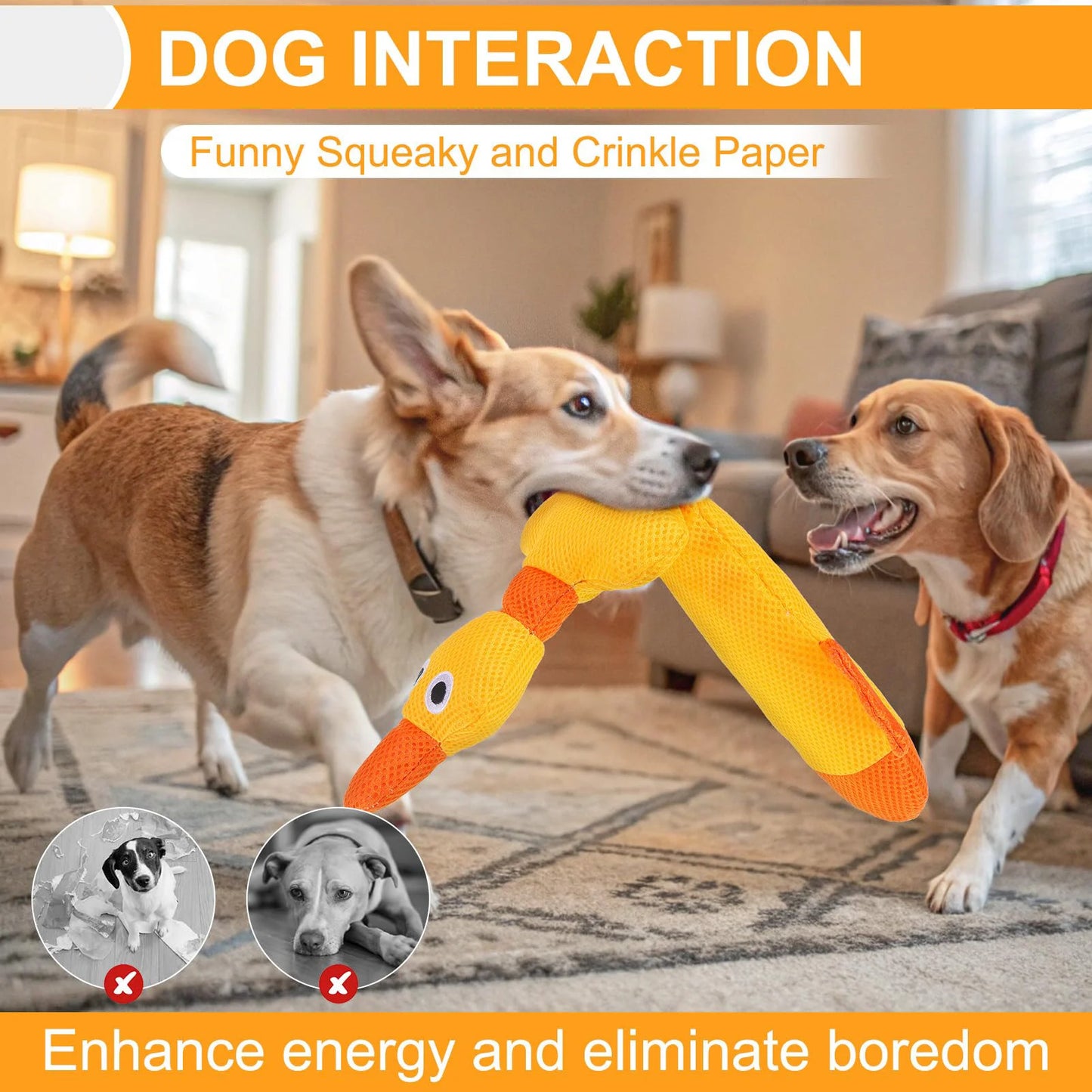 Floating Dog Water Pool Toys - Suitable for medium/large-sized dogs, Zizi Duck-designed pool toys, summer dog toys