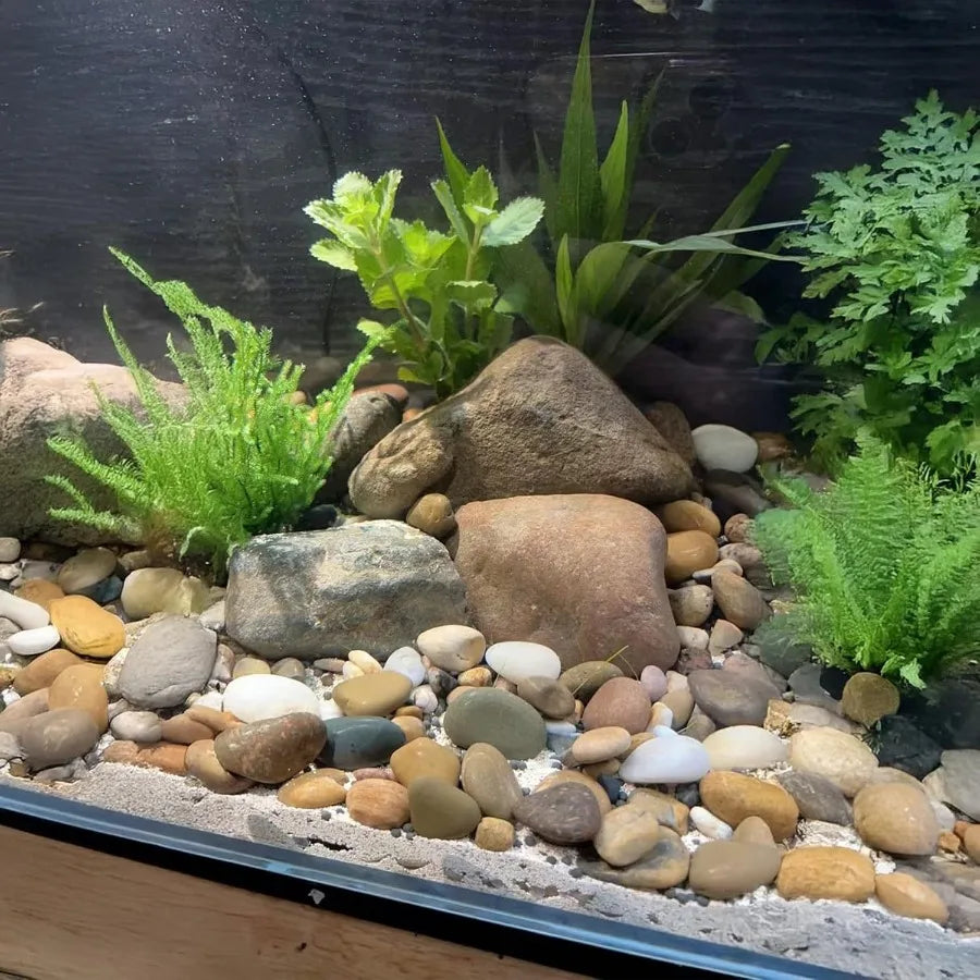 18 Lbs River Rocks Pebbles 1 to 2 Inch Polished Stones