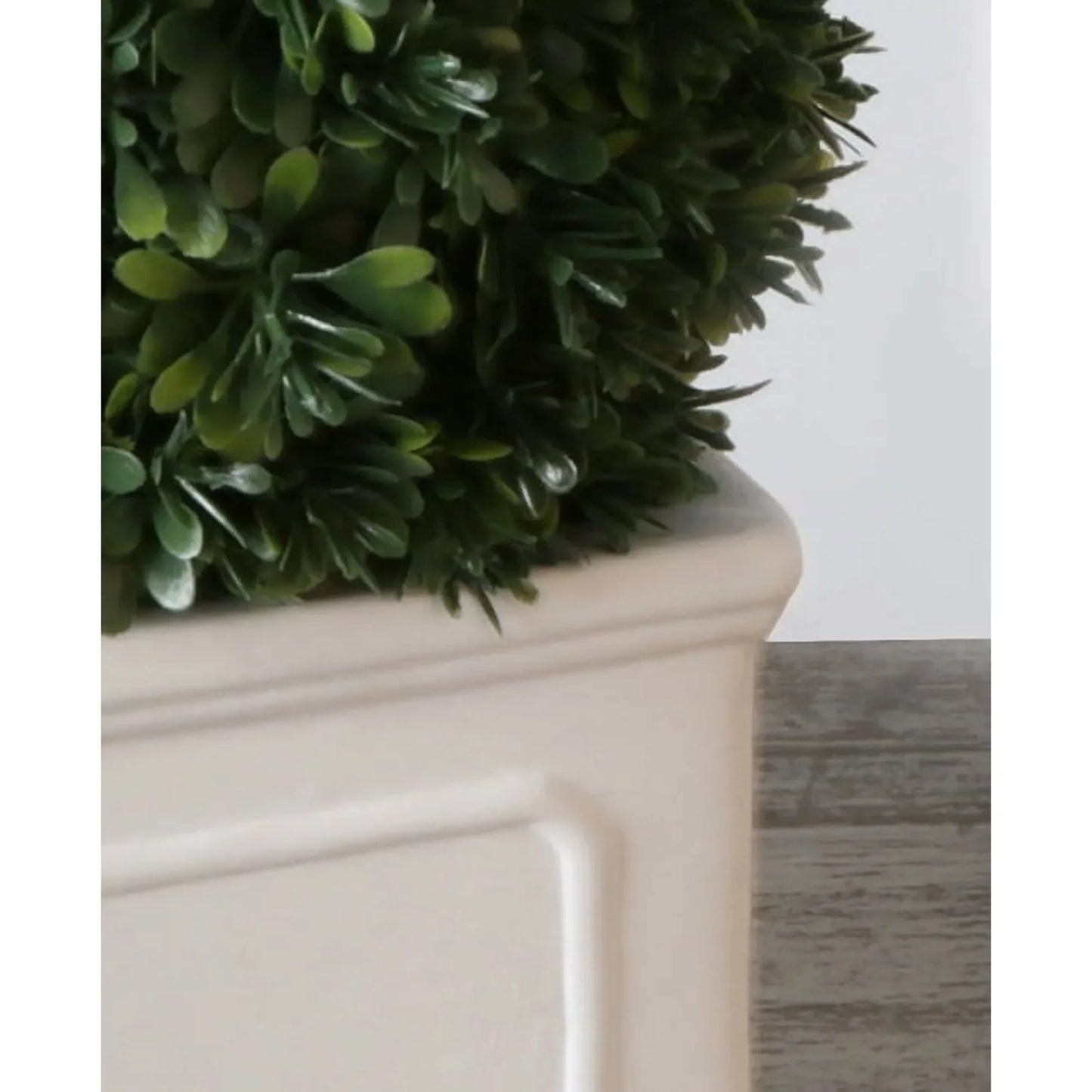 Better Homes Gardens 9 Inch Boxwood Plant In White Planter