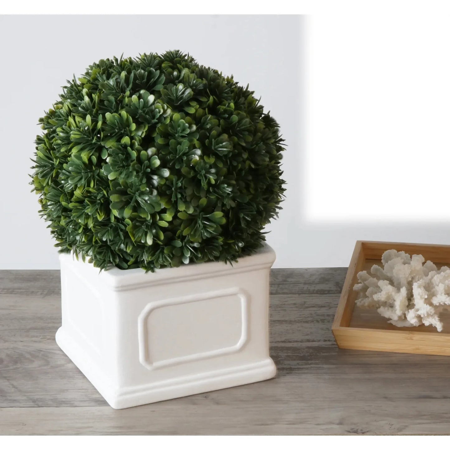 Better Homes Gardens 9 Inch Boxwood Plant In White Planter