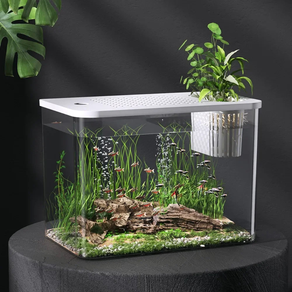 PET ABS Transparent Aquarium Tank With Lid For Fish Turtle