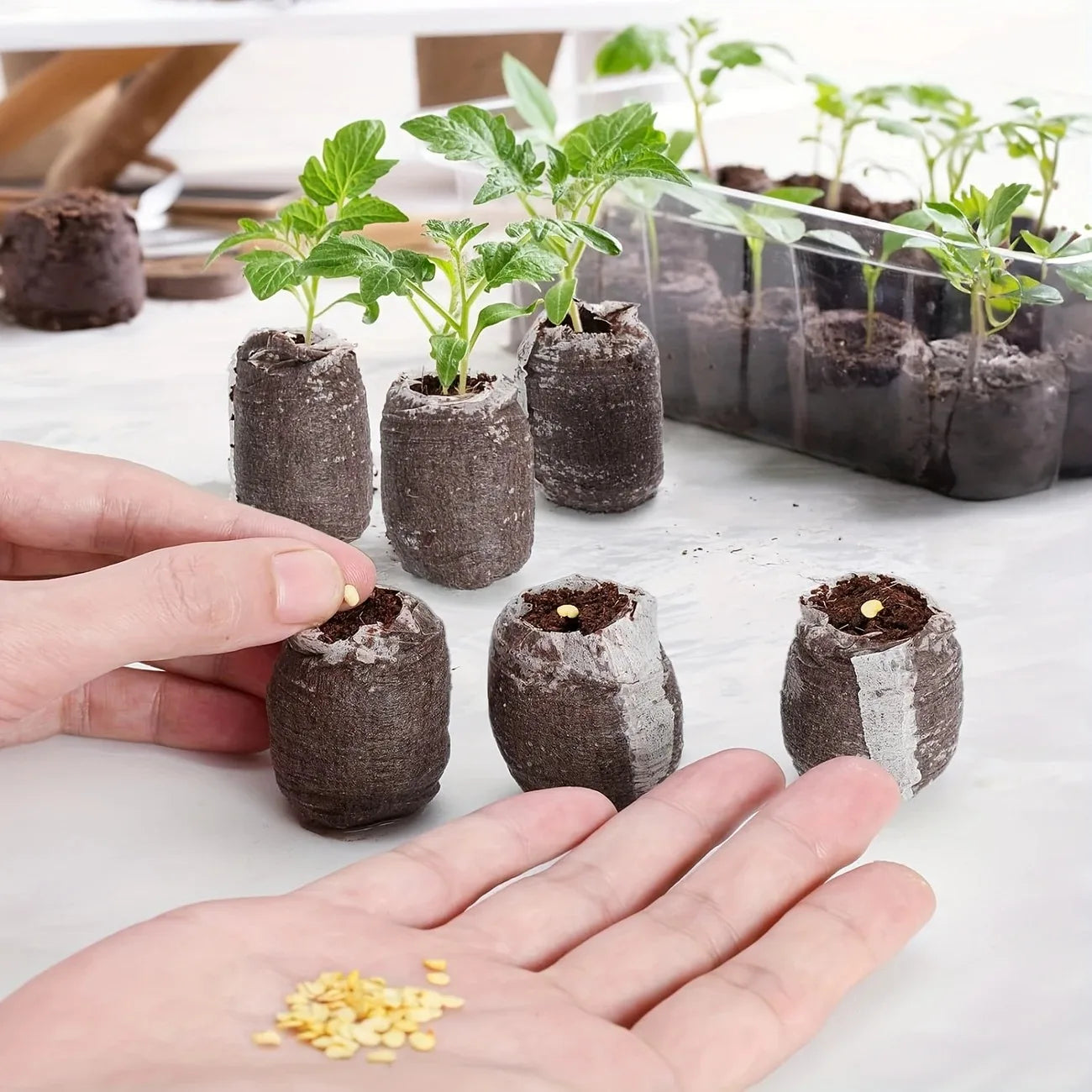 40 Pack Coir Seed Starter Pods 30mm For Seedlings Bonsai