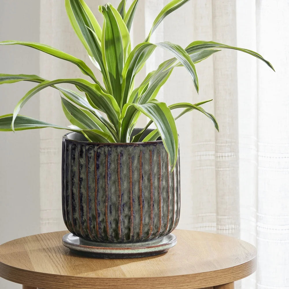 8 Inch Ceramic Planter With Saucer Indoor Outdoor Modern