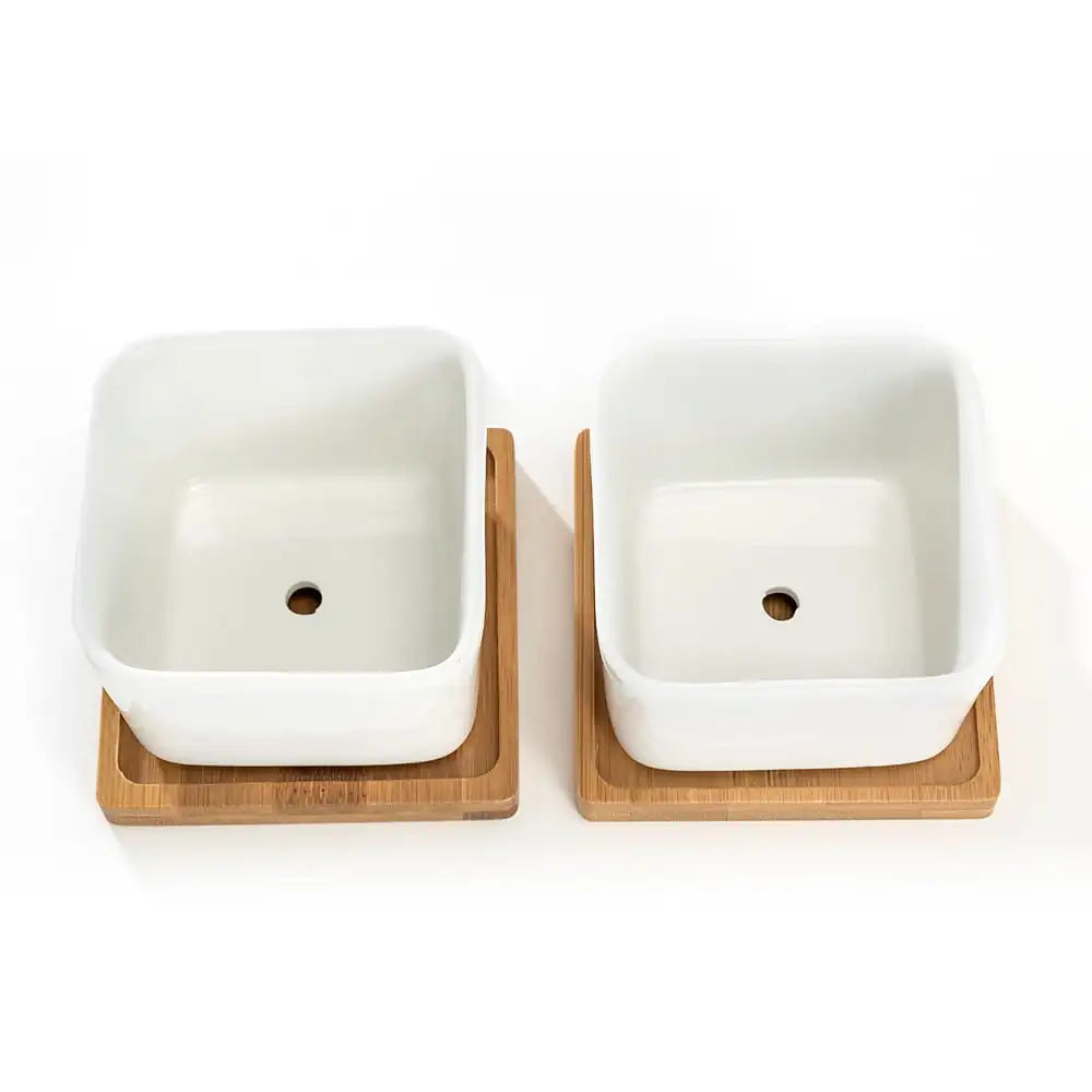 Two White Ceramic Pots With Bamboo Saucers For Succulents