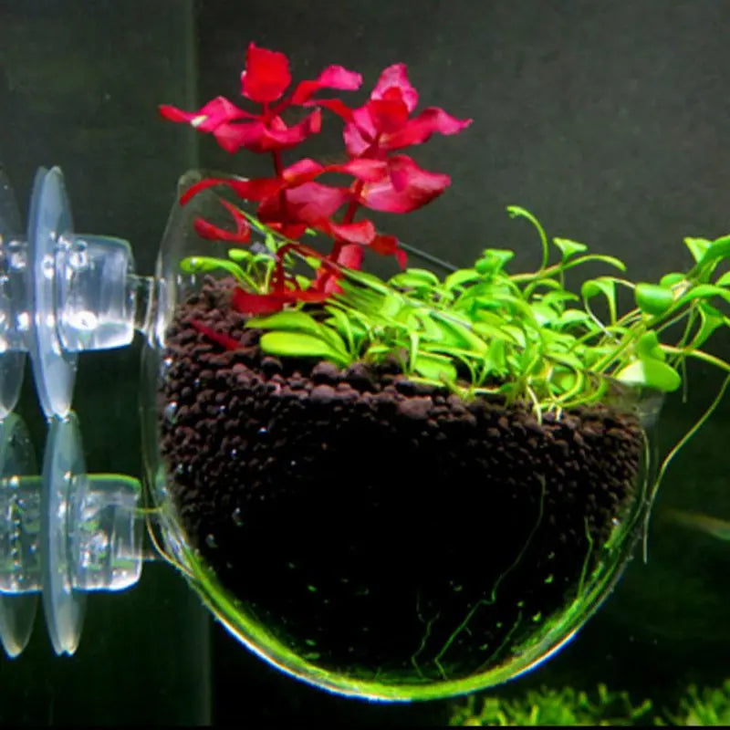 Acrylic Aquarium Plant Cup With Suction Holder Water