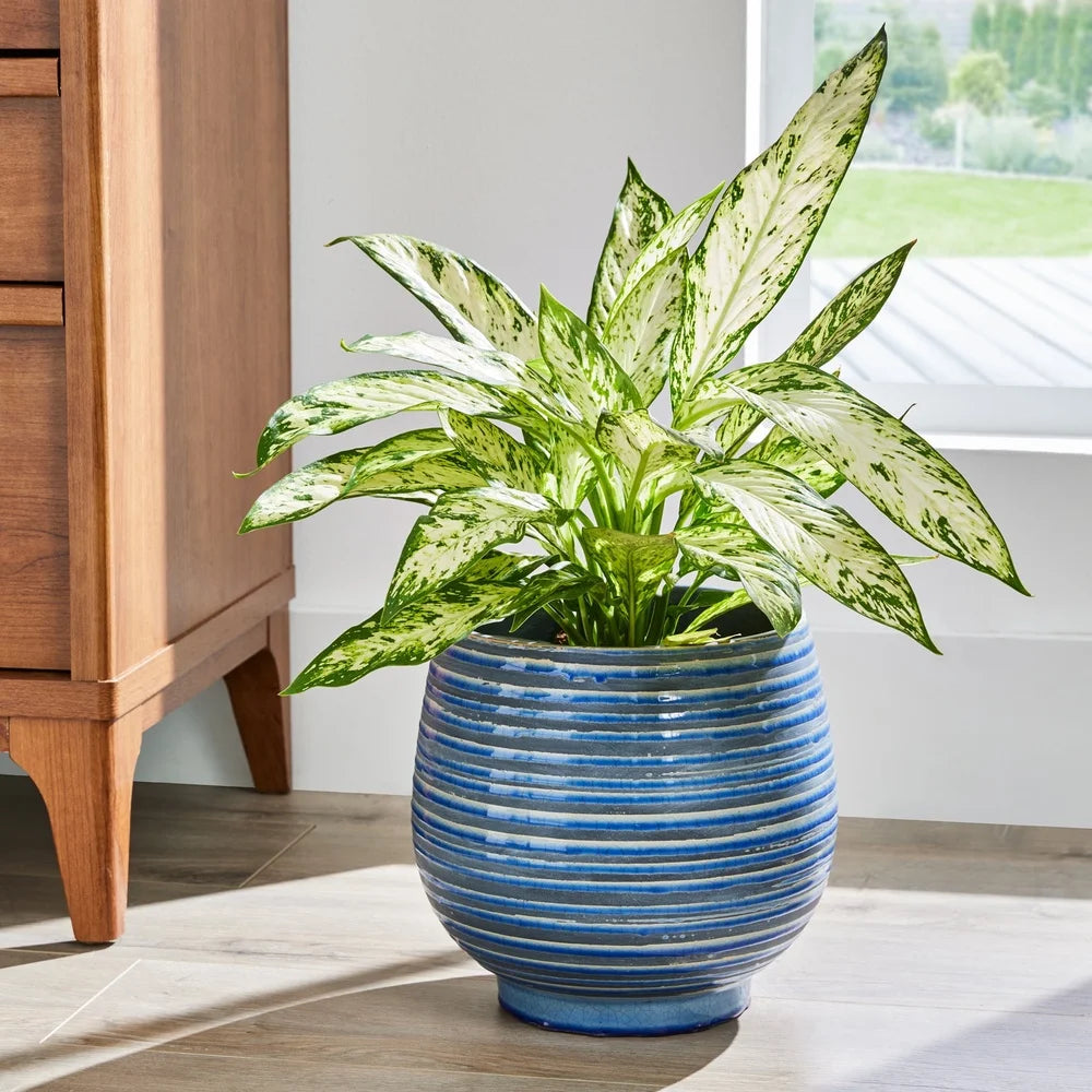 10 Inch Round Ceramic Planter with Drainage Holes Decorative Pot Indoor Outdoor Plants Blue and White Crackle Design