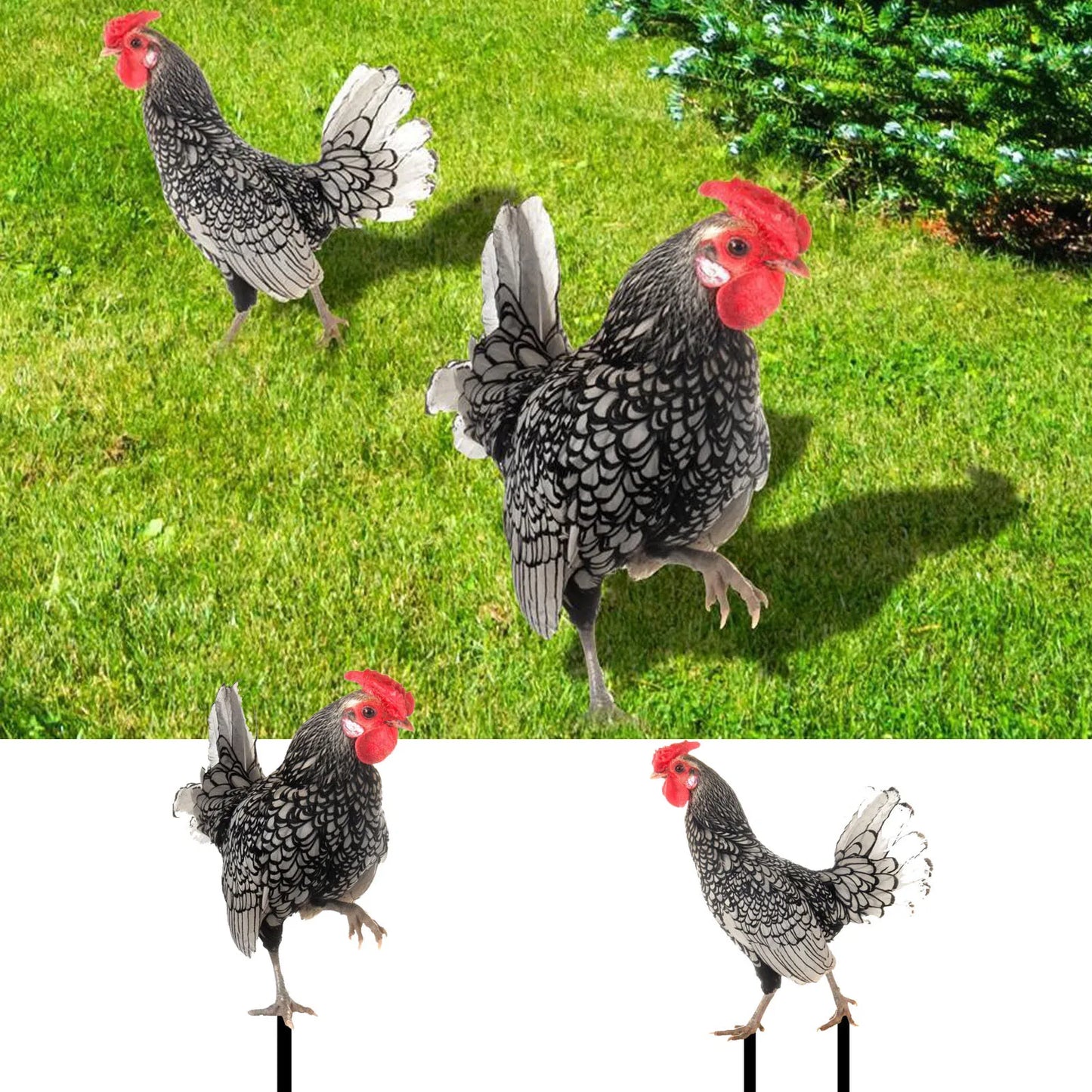 Realistic Chicken Statues Acrylic Rooster Animals Stakes Animals Sculptures Decor Chicken Ornaments Yard Art Decor For Backyard