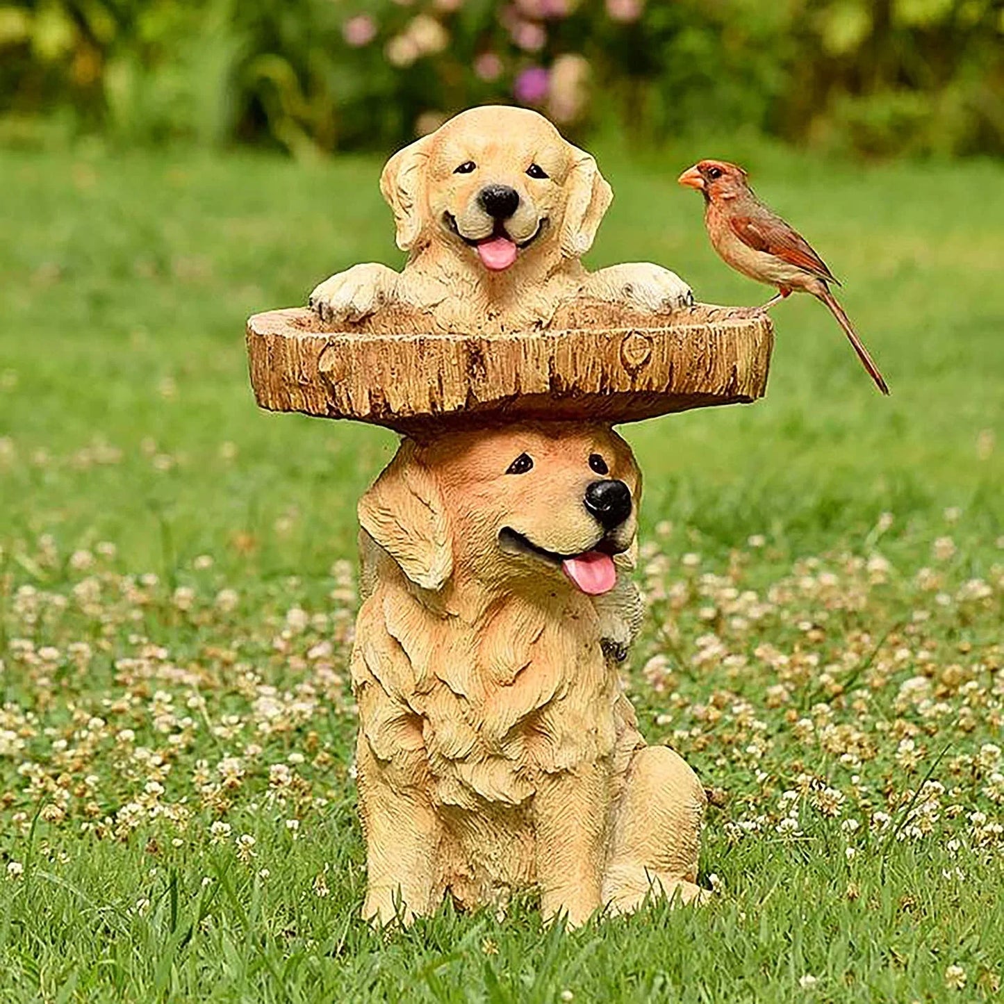 Resin Wild Bird Feeder, Backyard Decoration - Raccoon/Dog Animal Bird Feeder Statue, Standing Animal Bird Bath Plate, Suitable for Outdoor Bird Drinking Water Feeding Bathtub, Landscape Decorations, Family Outdoor Pond Garden