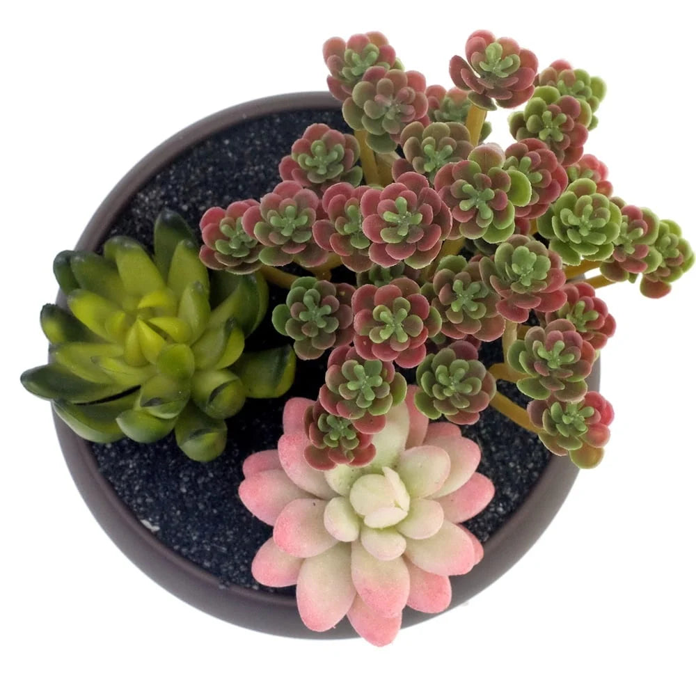 Unglazed Round Ceramic Planter Pot For Succulents Indoors