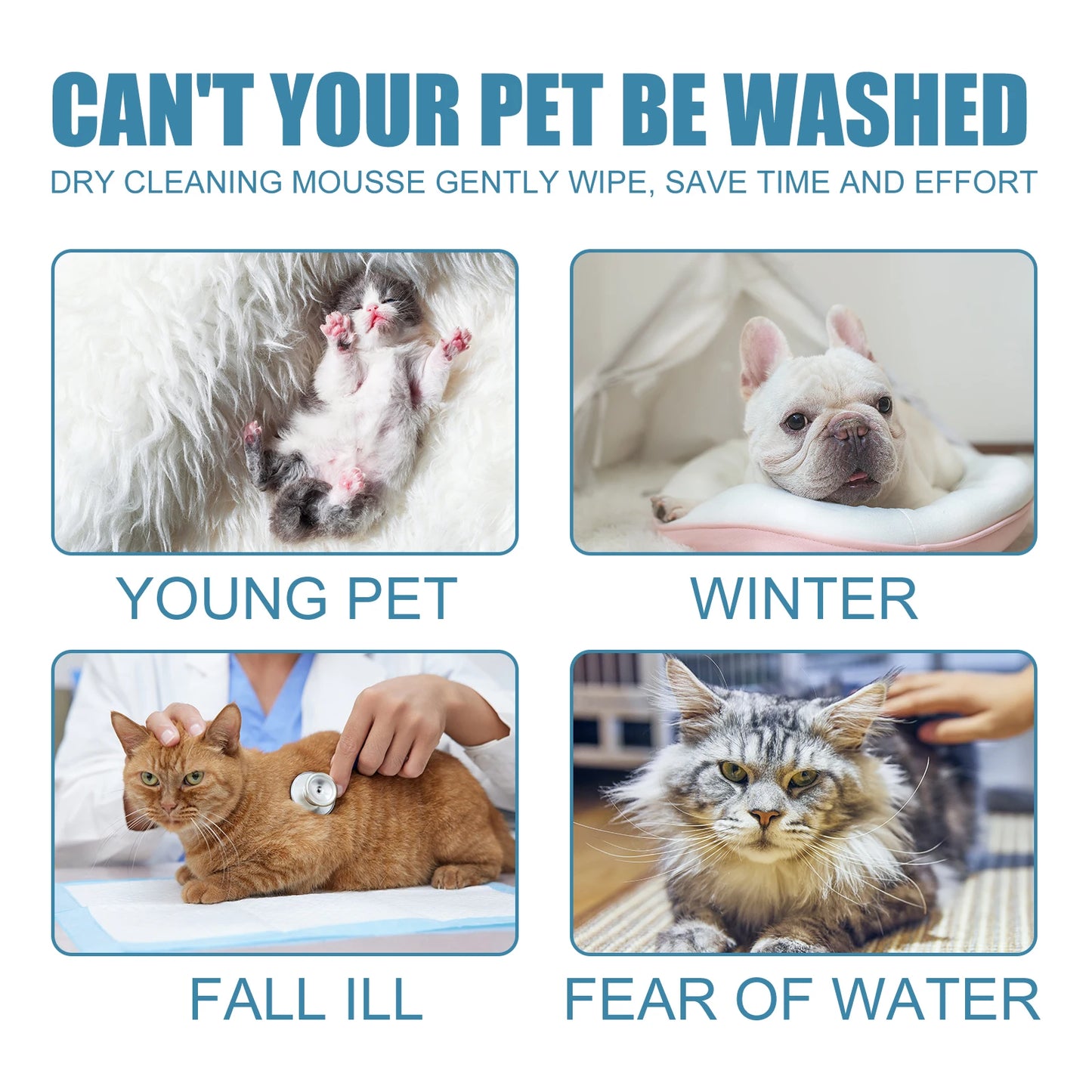 60ml Pet Dry Cleaning Agent Deodorizing Shampoo Waterless Small Animal Rinse Free Body Wash Itch Removing Stain Pet Products