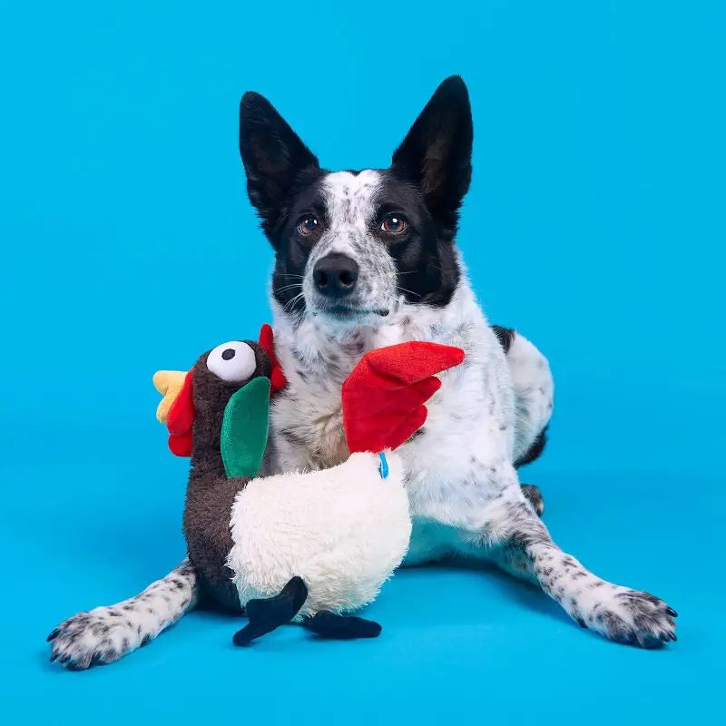Squeaky Crinkle Rooster Dog Toy for Chewers Tough Interactive Plush Puppy Play Whip Flip Limbs De Fluffers Grunt Tube Noise