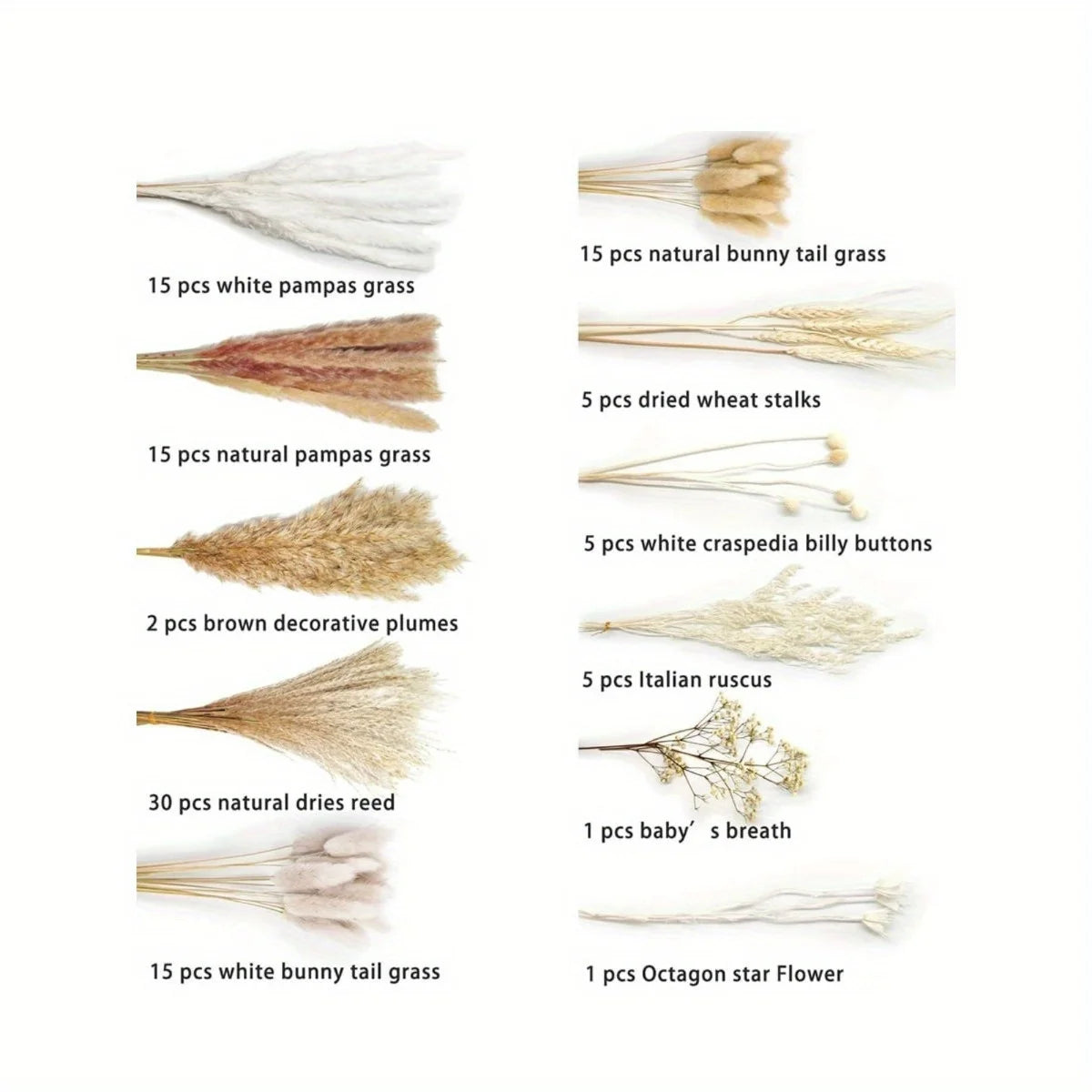 109Pcs Natural Dried Pampas Grass Bouquet with Bunny Tails Dried Flowers Pompas for Boho Home Decor, Wedding Floral