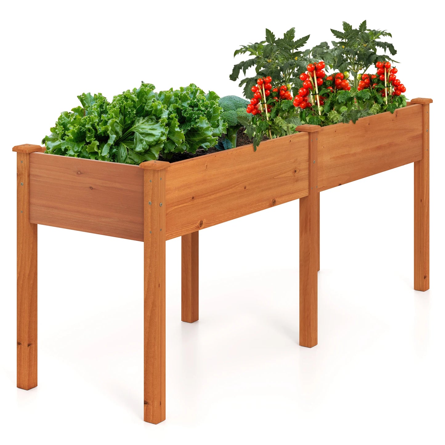 Outdoor Raised Garden Bed with Legs 73x23x30 Inches Wood Planter Box with Divider Panel