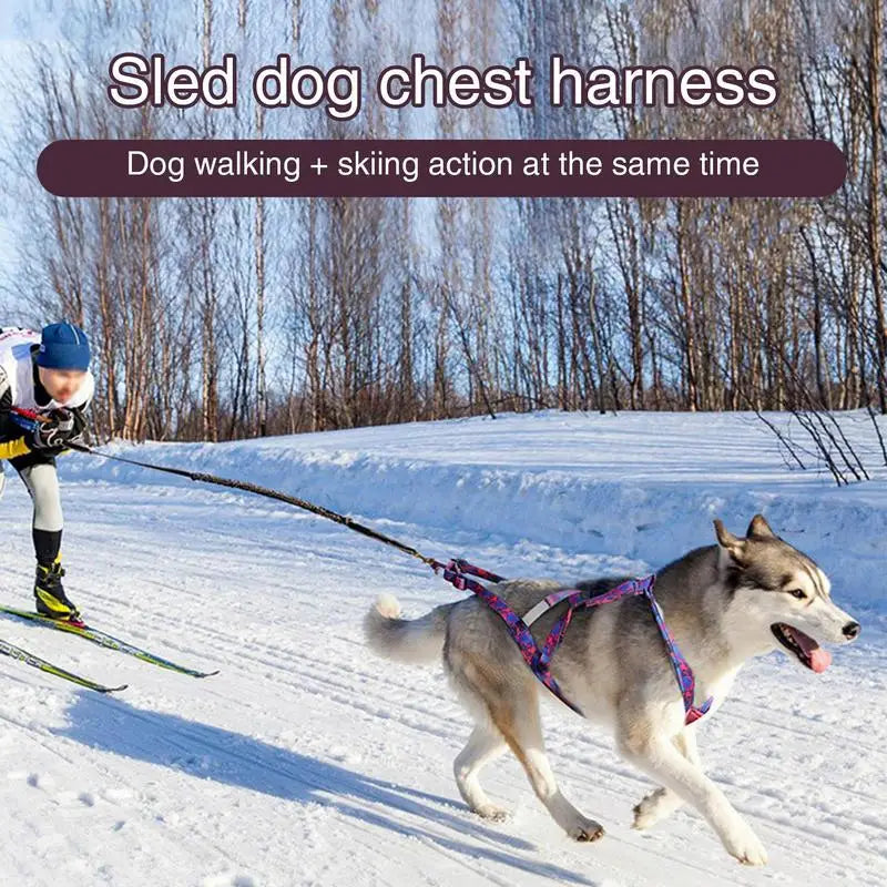 Pulling Harness For Dogs Puppy Harness Adjustable Reflective Dog Harness Outdoor Dog Rope Flexible Dog Training Rope For