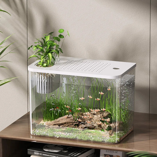 PET ABS Transparent Aquarium Tank With Lid For Fish Turtle