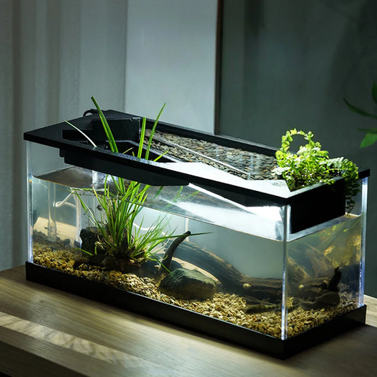 Acrylic Aquarium Tank With Built In Light Water Pump