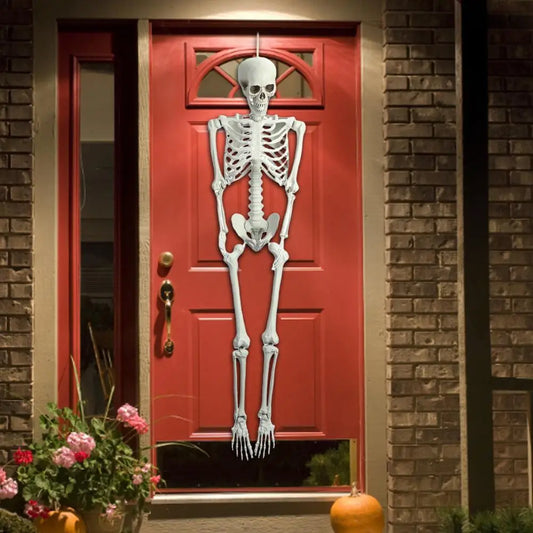 5.4Ft Poseable Skeleton Prop Life Size Plastic Halloween