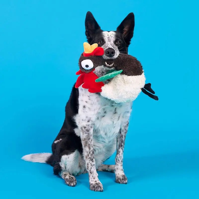 Squeaky Crinkle Rooster Dog Toy for Chewers Tough Interactive Plush Puppy Play Whip Flip Limbs De Fluffers Grunt Tube Noise