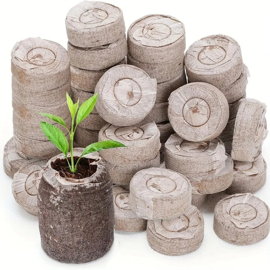 40 Pack Coir Seed Starter Pods 30mm For Seedlings Bonsai