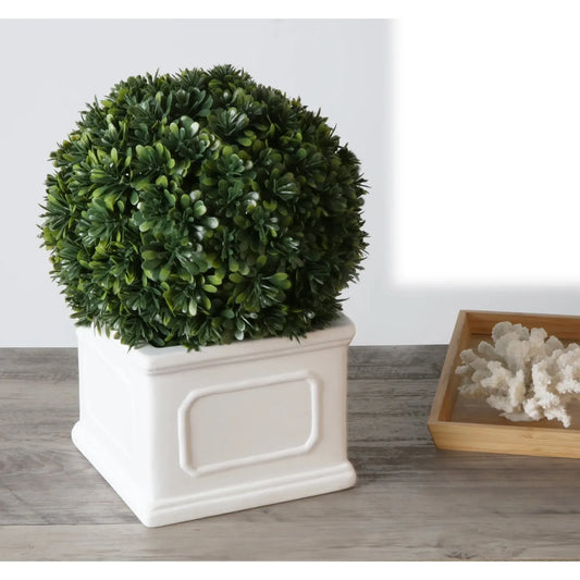 Better Homes Gardens 9 Inch Boxwood Plant In White Planter