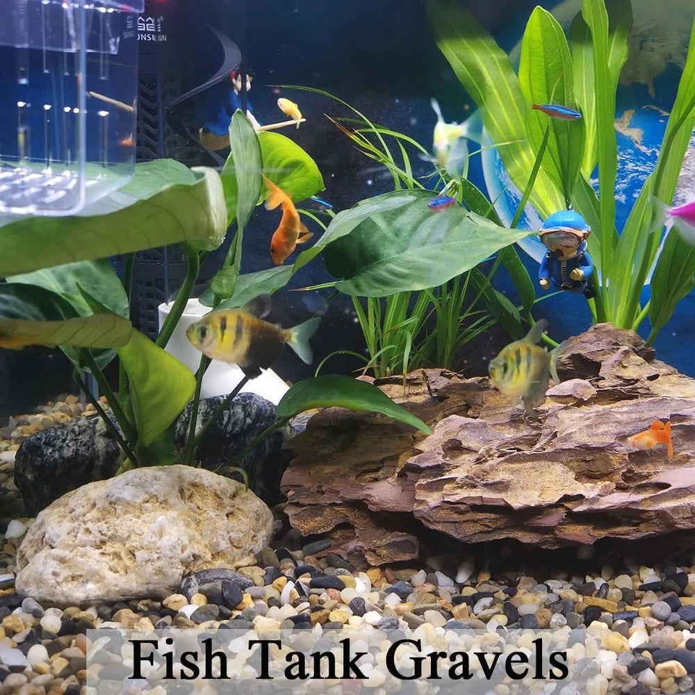 Five Pounds Aquarium Gravel Pea Gravel Decorative Rocks