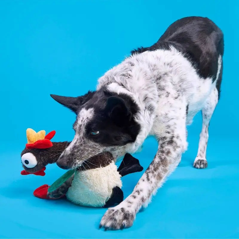 Squeaky Crinkle Rooster Dog Toy for Chewers Tough Interactive Plush Puppy Play Whip Flip Limbs De Fluffers Grunt Tube Noise