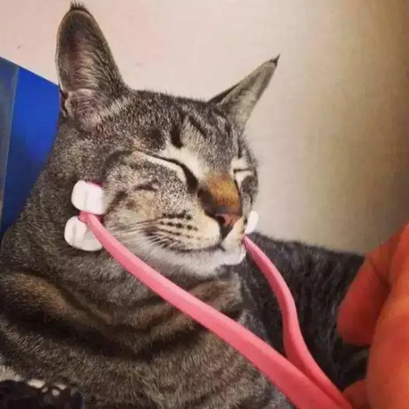 Multifunction Cat Thin Face Massager Pet Interactive Massage Feet Leg Massager Health Grooming Tool for Cat Pet Comfortable