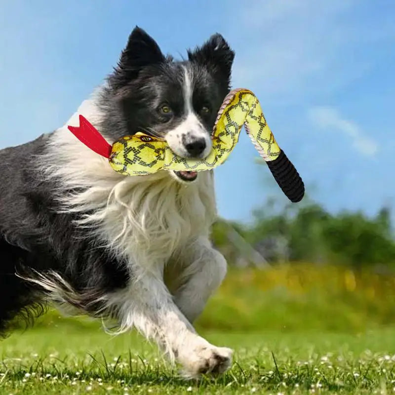 Snake Shape Dog cat Squeaky Toys  Chewing Toy Stuffed Animal Bite-resistant Sounding Paper tearing Toy Pet Supplies