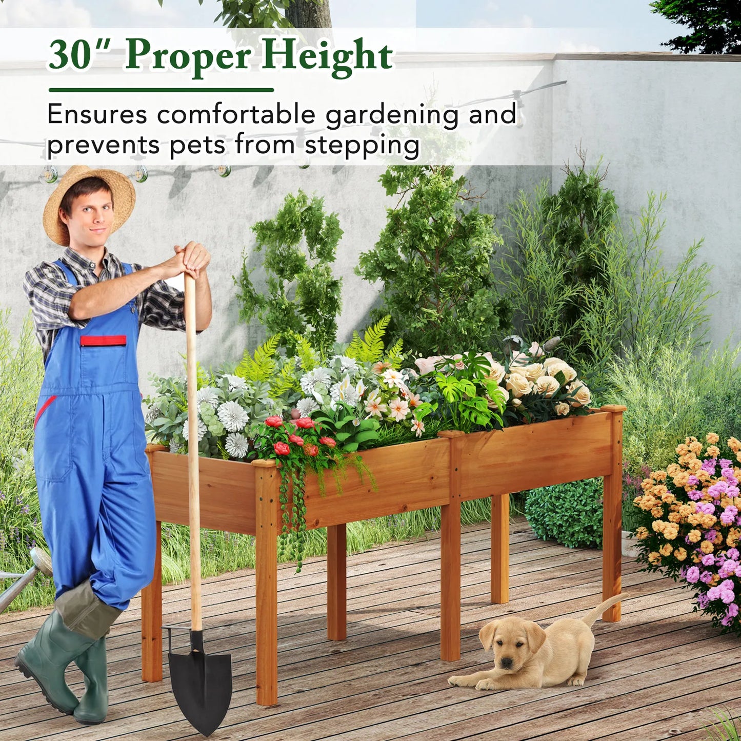 Outdoor Raised Garden Bed with Legs 73x23x30 Inches Wood Planter Box with Divider Panel